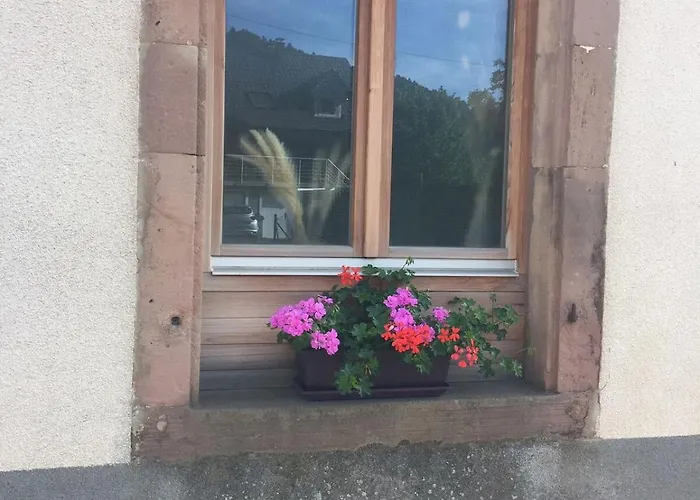 Apartment La Bandsaege Rando Riviere Quietude